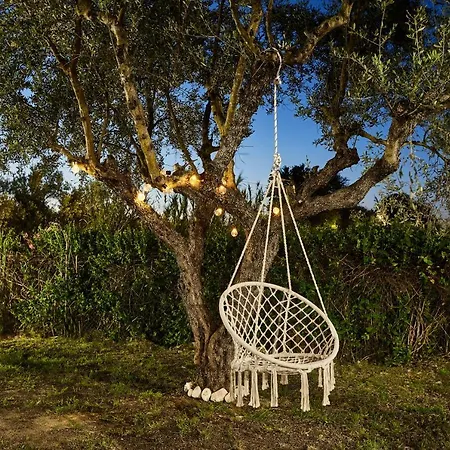 La Casa Del Sol Ambelokipoi (Zakynthos)